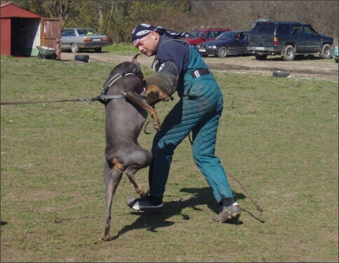 Training in Estonia 4. - 6. 5. 2007