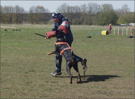 Training in Estonia 4. - 6. 5. 2007