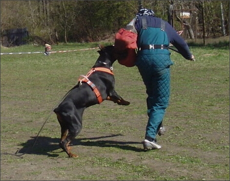 Training in Estonia 4. - 6. 5. 2007