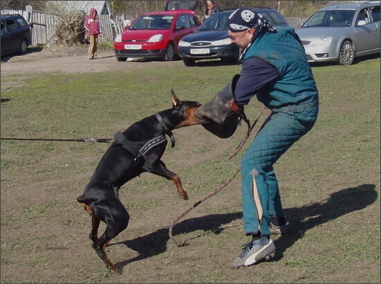 Training in Estonia 4. - 6. 5. 2007