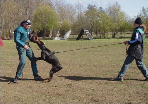 Training in Estonia 4. - 6. 5. 2007