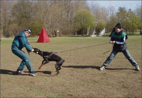 Training in Estonia 4. - 6. 5. 2007