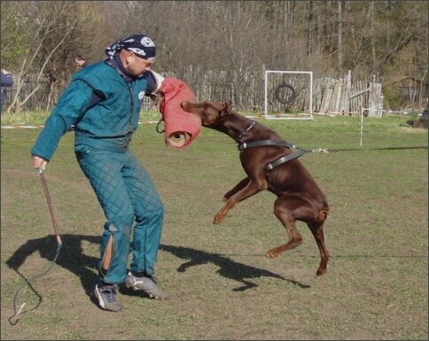 Training in Estonia 4. - 6. 5. 2007