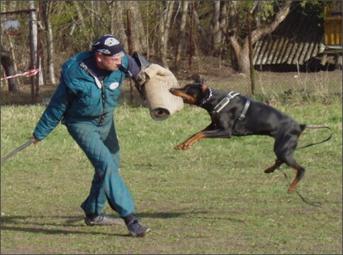 Training in Estonia 4. - 6. 5. 2007