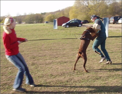 Training in Estonia 4. - 6. 5. 2007