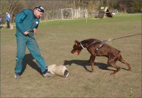 Training in Estonia 4. - 6. 5. 2007