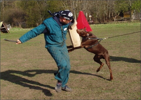 Training in Estonia 4. - 6. 5. 2007