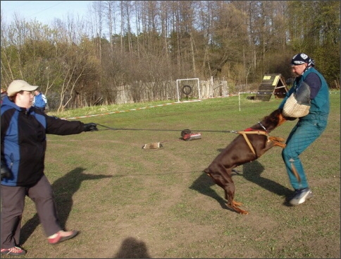 Training in Estonia 4. - 6. 5. 2007