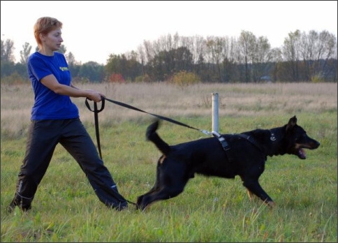 Training in Estonia 9/2007