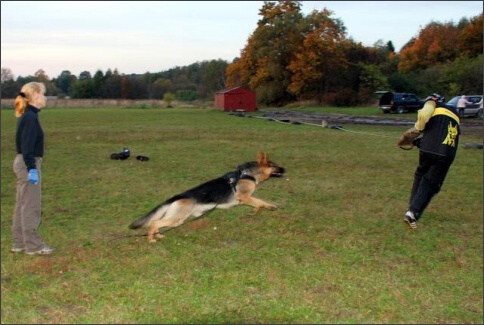 Training in Estonia 9/2007