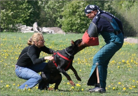 Training in Estonia 18. - 21. 5. 2007