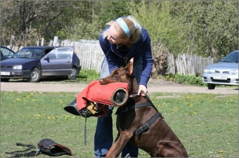 Training in Estonia 18. - 21. 5. 2007