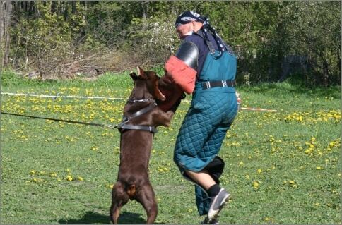 Training in Estonia 18. - 21. 5. 2007