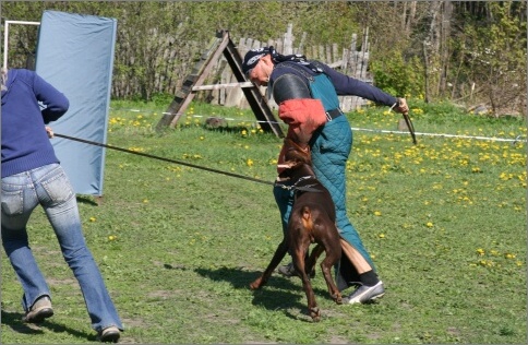 Training in Estonia 18. - 21. 5. 2007