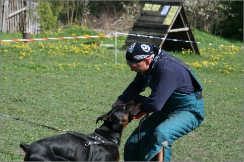 Training in Estonia 18. - 21. 5. 2007