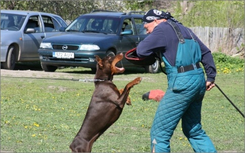 Training in Estonia 18. - 21. 5. 2007