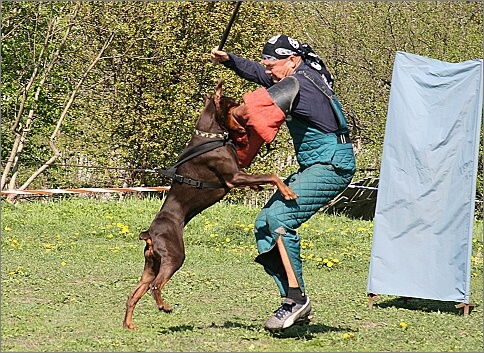 Training in Estonia 18. - 21. 5. 2007