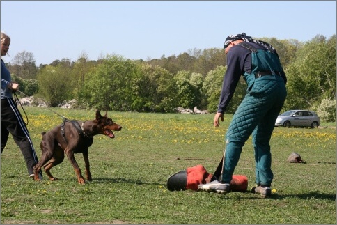 Training in Estonia 18. - 21. 5. 2007