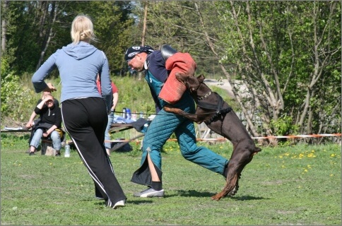 Training in Estonia 18. - 21. 5. 2007