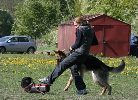 Training in Estonia 18. - 21. 5. 2007