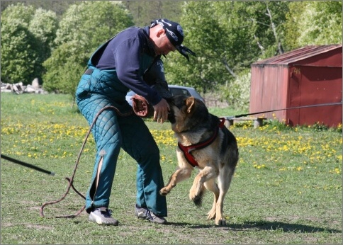 Training in Estonia 18. - 21. 5. 2007