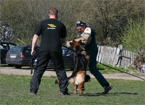 Training in Estonia 18. - 21. 5. 2007