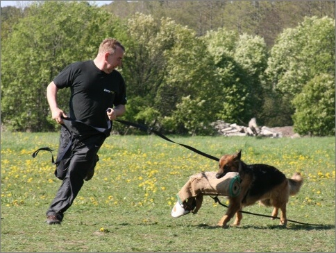 Training in Estonia 18. - 21. 5. 2007