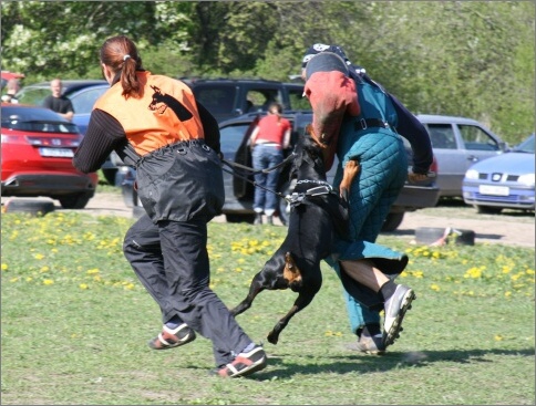 Training in Estonia 18. - 21. 5. 2007