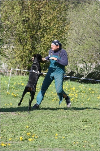 Training in Estonia 18. - 21. 5. 2007