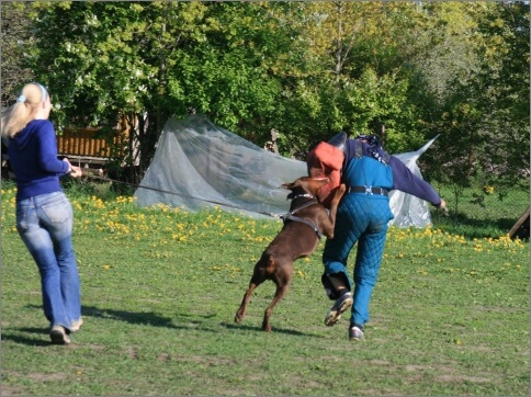 Training in Estonia 18. - 21. 5. 2007