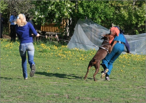 Training in Estonia 18. - 21. 5. 2007