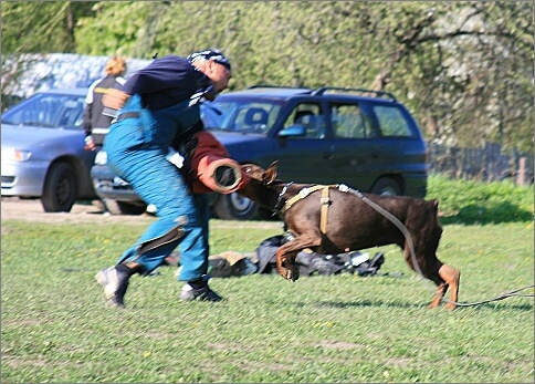 Training in Estonia 18. - 21. 5. 2007