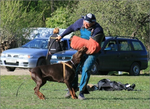 Training in Estonia 18. - 21. 5. 2007