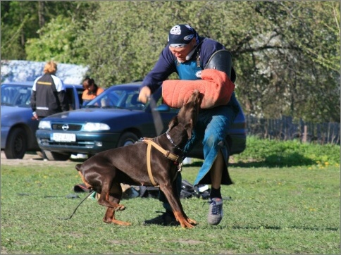 Training in Estonia 18. - 21. 5. 2007