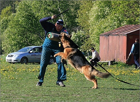 Training in Estonia 18. - 21. 5. 2007