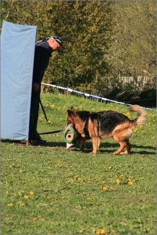 Training in Estonia 18. - 21. 5. 2007