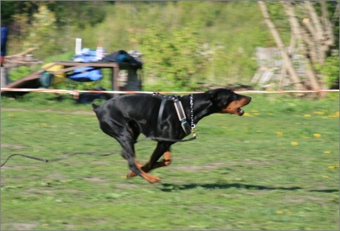 Training in Estonia 18. - 21. 5. 2007