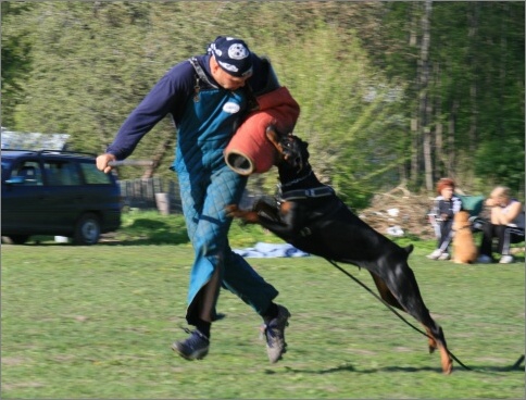 Training in Estonia 18. - 21. 5. 2007