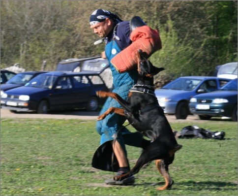 Training in Estonia 18. - 21. 5. 2007