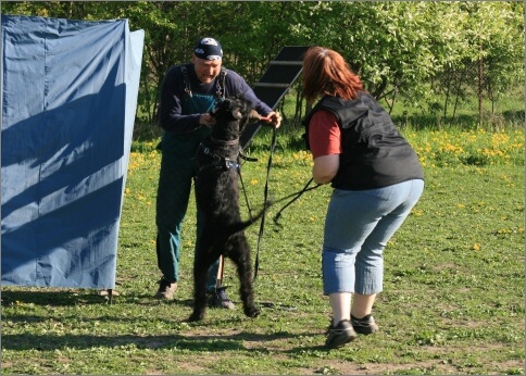 Training in Estonia 18. - 21. 5. 2007