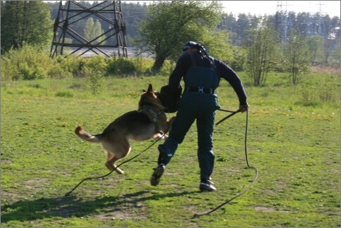 Training in Estonia 18. - 21. 5. 2007