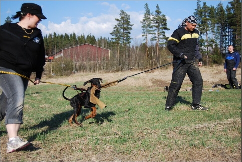 Training in Finland 25. - 27. 4. 2008