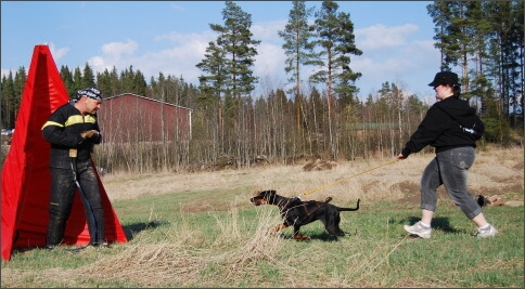 Training in Finland 25. - 27. 4. 2008