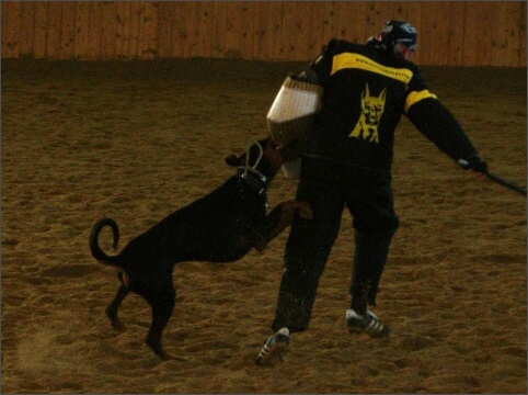 Training in Finland 11/2007