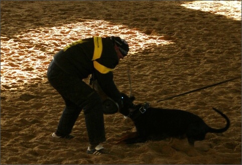 Training in Finland 11/2007