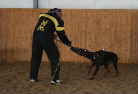 Training in Finland 11/2007