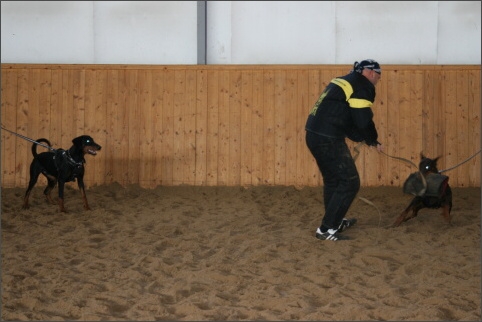 Training in Finland 11/2007