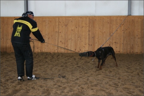 Training in Finland 11/2007