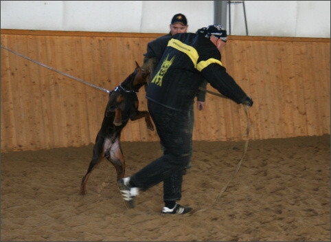 Training in Finland 11/2007