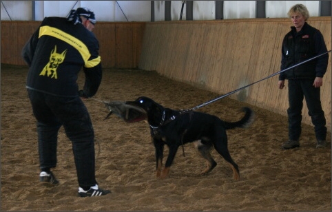 Training in Finland 11/2007